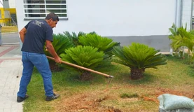 Jardineiro da Conservadora Legionários executando serviço de jardinagem e manutenção de paisagismo em área verde de condomínio ou empresa em Belo Horizonte (BH).
