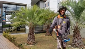 Jardineiro da Conservadora Legionários executando serviço de capina e jardinagem em área verde de condomínio ou empresa com projeto de paisagismo em Belo Horizonte.